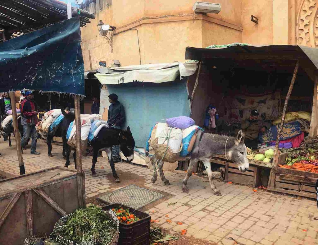 o que fazer em marrocos, marrocos o que fazer, o que fazer no marrocos, viagem para marrocos, marrocos turismo, pontos turísticos de marrocos